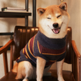 Load image into Gallery viewer, Gray and Mustard Yellow Striped Dog Sweater - Luxury Knit Turtleneck - Hoshiba Chai