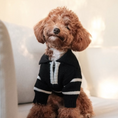 Load image into Gallery viewer, "Cortado" Striped Zipper Turtleneck Dog Sweater