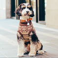 Load image into Gallery viewer, Beige Chunky Knit Dog Turtleneck - Cream Neutral Sweater for Small Dogs - Hoshiba Latte