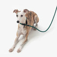 Load image into Gallery viewer, Minimalist Climbing Rope Dog Leash