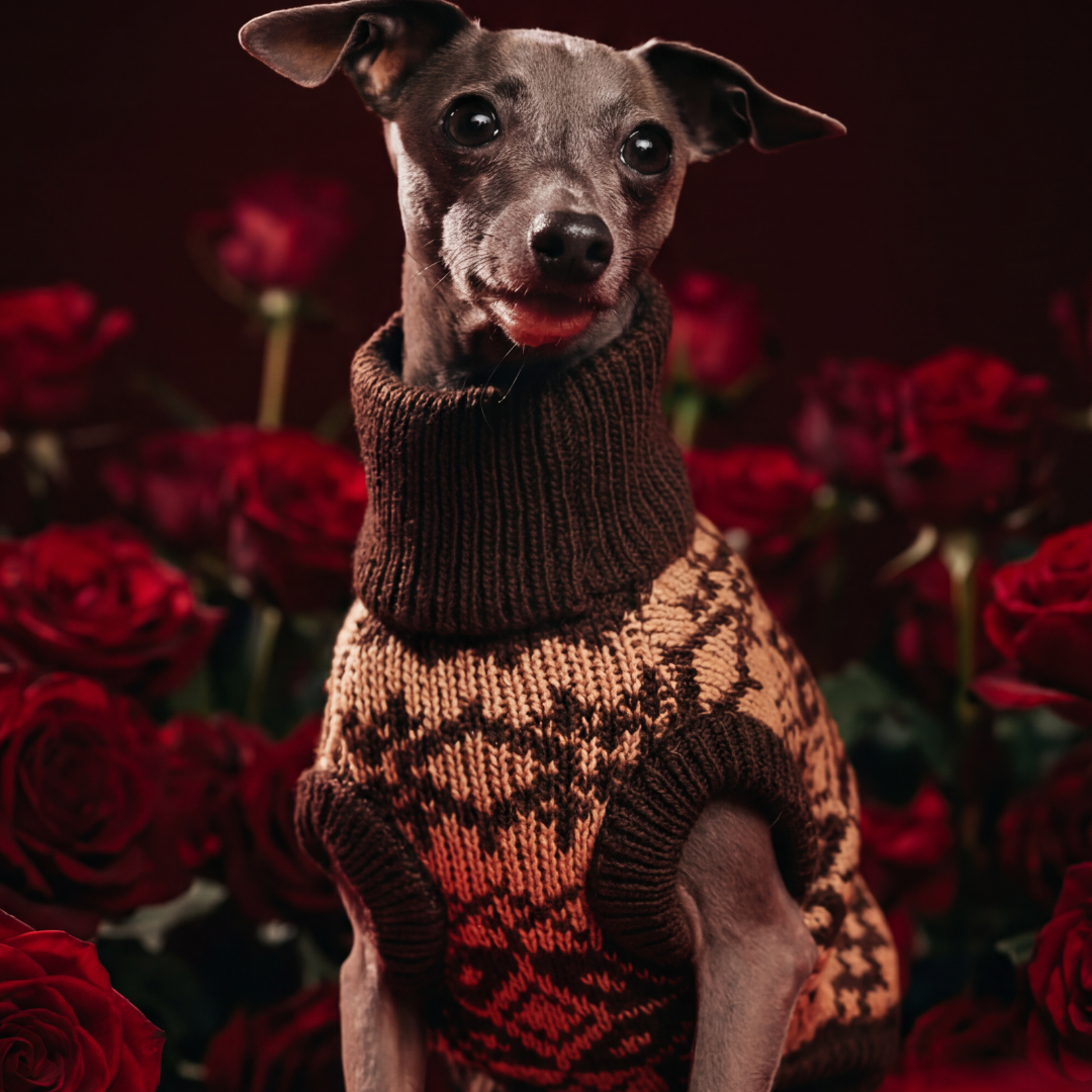 Dog wearing a sweater surrounded by red roses with Hoshiba Luxe Pet Apparel branding.