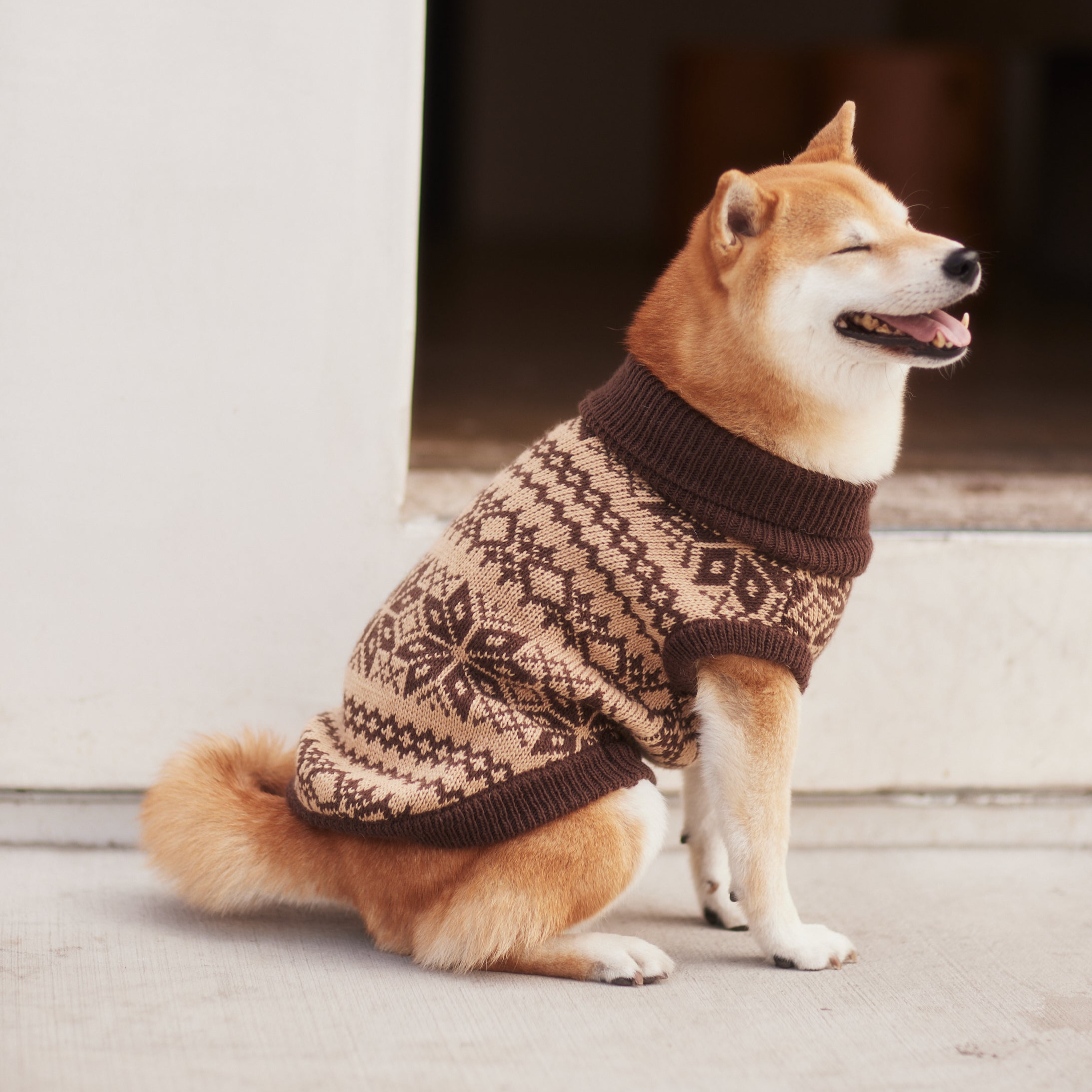 "Latte" Turtleneck Knit Dog Sweater