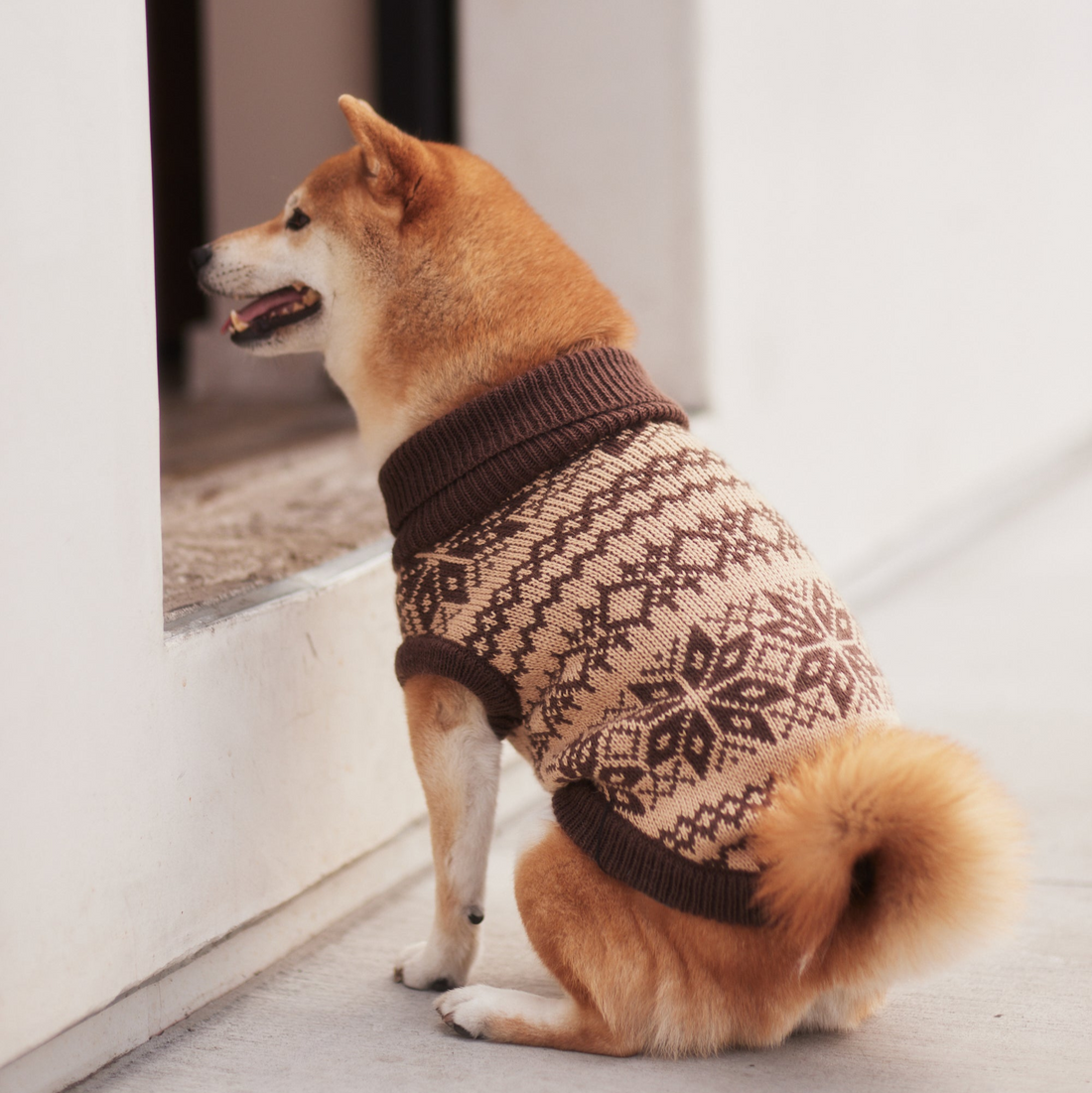 Soft cream rib knit dog sweater fabric - Minimalist aesthetic dog clothes