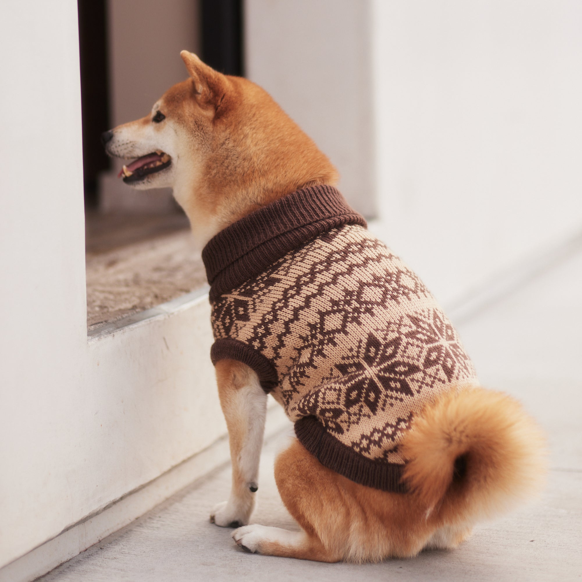 "Latte" Turtleneck Knit Dog Sweater