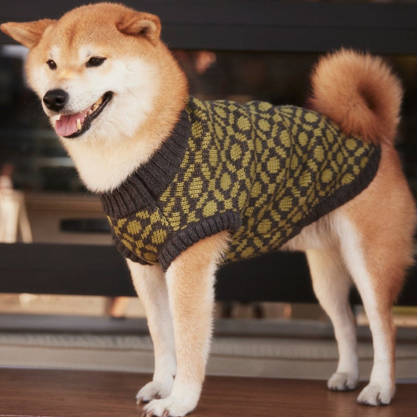 "Matcha" Ribbed Crewneck Dog Sweater
