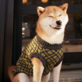 Load image into Gallery viewer, "Matcha" Ribbed Crewneck Dog Sweater
