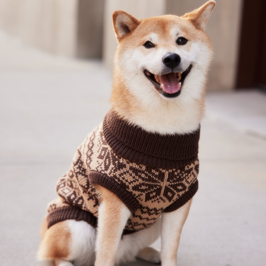 "Latte" Turtleneck Knit Dog Sweater