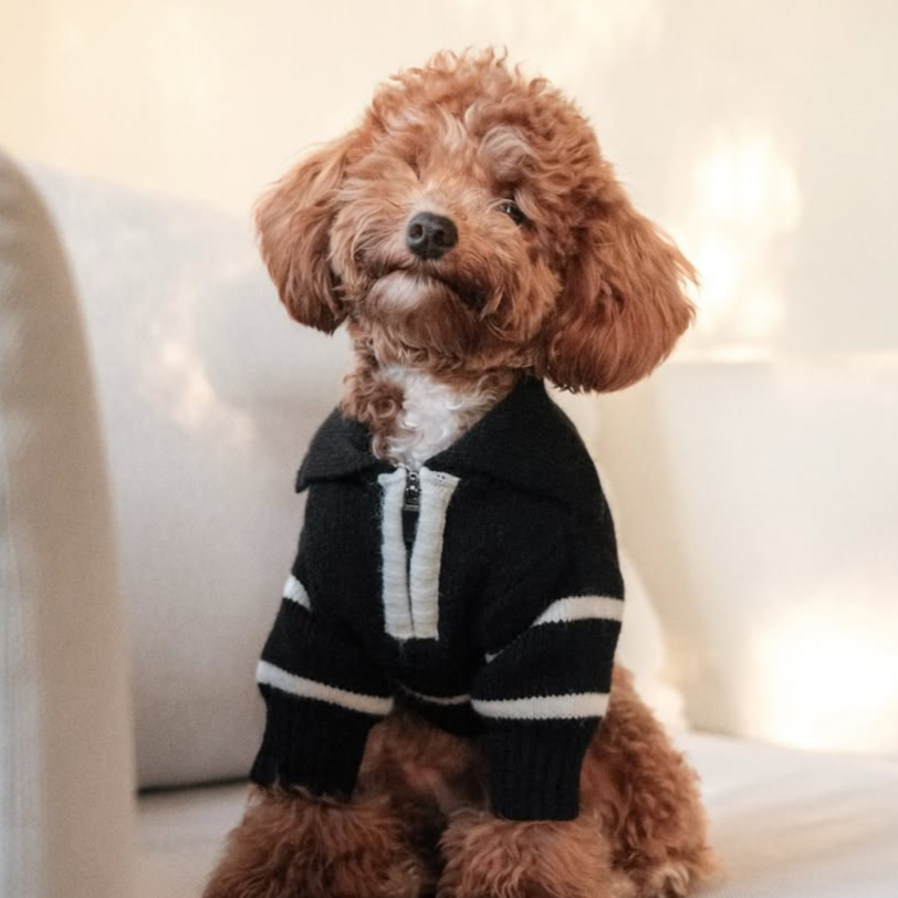 "Cortado" Striped Zipper Turtleneck Dog Sweater