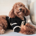 Load image into Gallery viewer, "Cortado" Striped Zipper Turtleneck Dog Sweater

