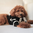 Load image into Gallery viewer, "Cortado" Striped Zipper Turtleneck Dog Sweater
