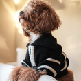 Load image into Gallery viewer, "Cortado" Striped Zipper Turtleneck Dog Sweater
