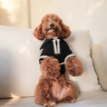 Load image into Gallery viewer, "Cortado" Striped Zipper Turtleneck Dog Sweater
