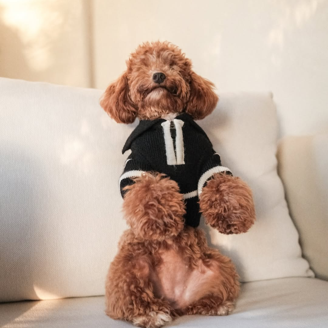 "Cortado" Striped Zipper Turtleneck Dog Sweater