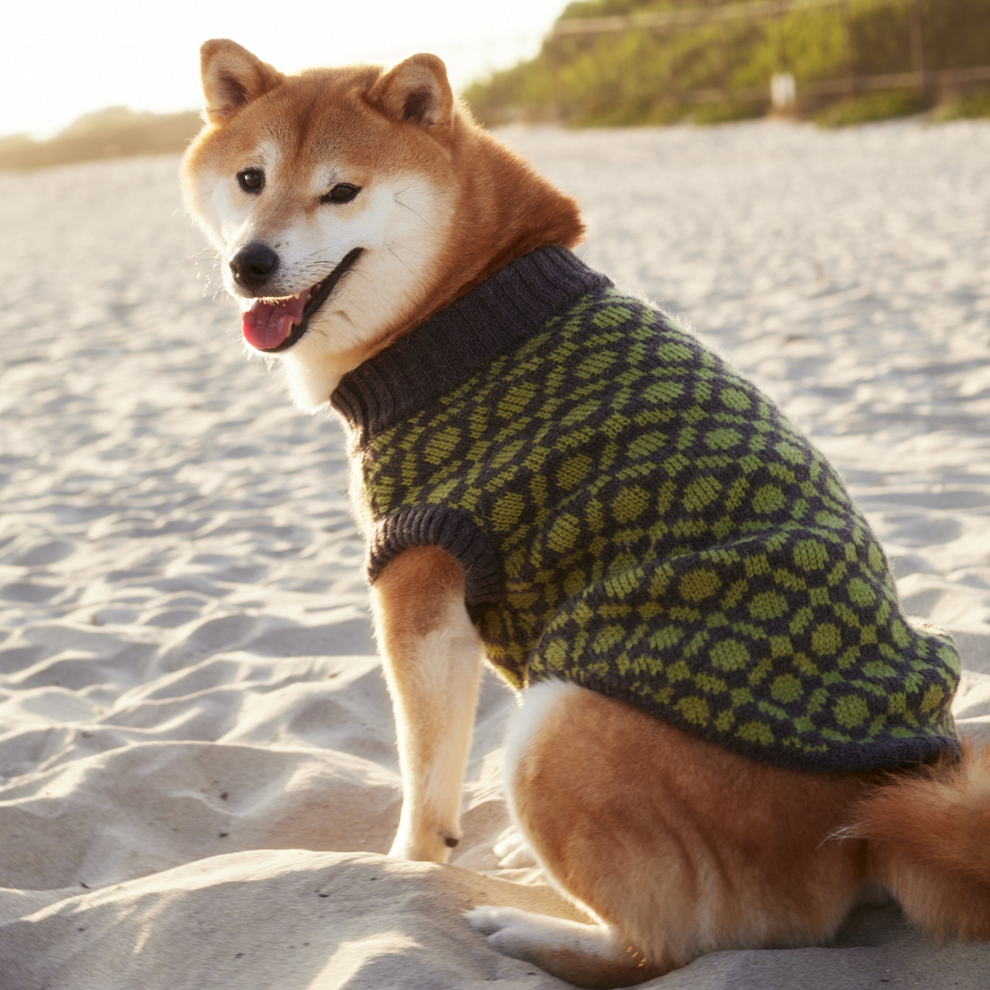 The Matcha olive green dog sweater, close-up of the ribbed wool-blend knit