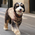 Load image into Gallery viewer, "Latte" Turtleneck Knit Dog Sweater
