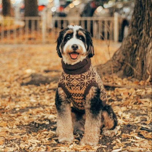 "Latte" Turtleneck Knit Dog Sweater
