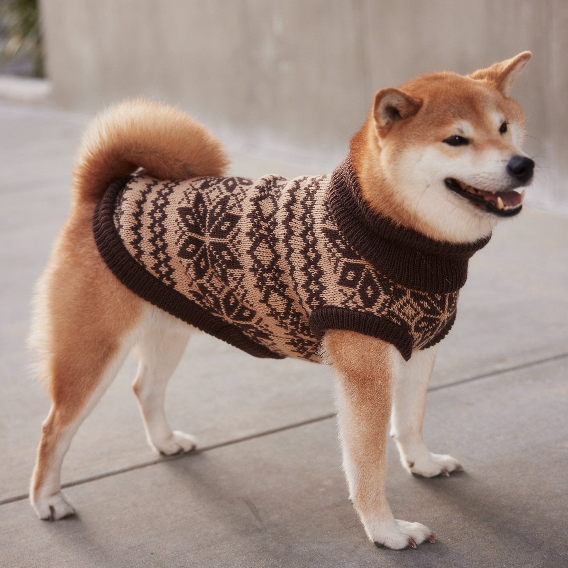Beige Dog Turtleneck | Cream Knit Dog Sweater | Hoshiba