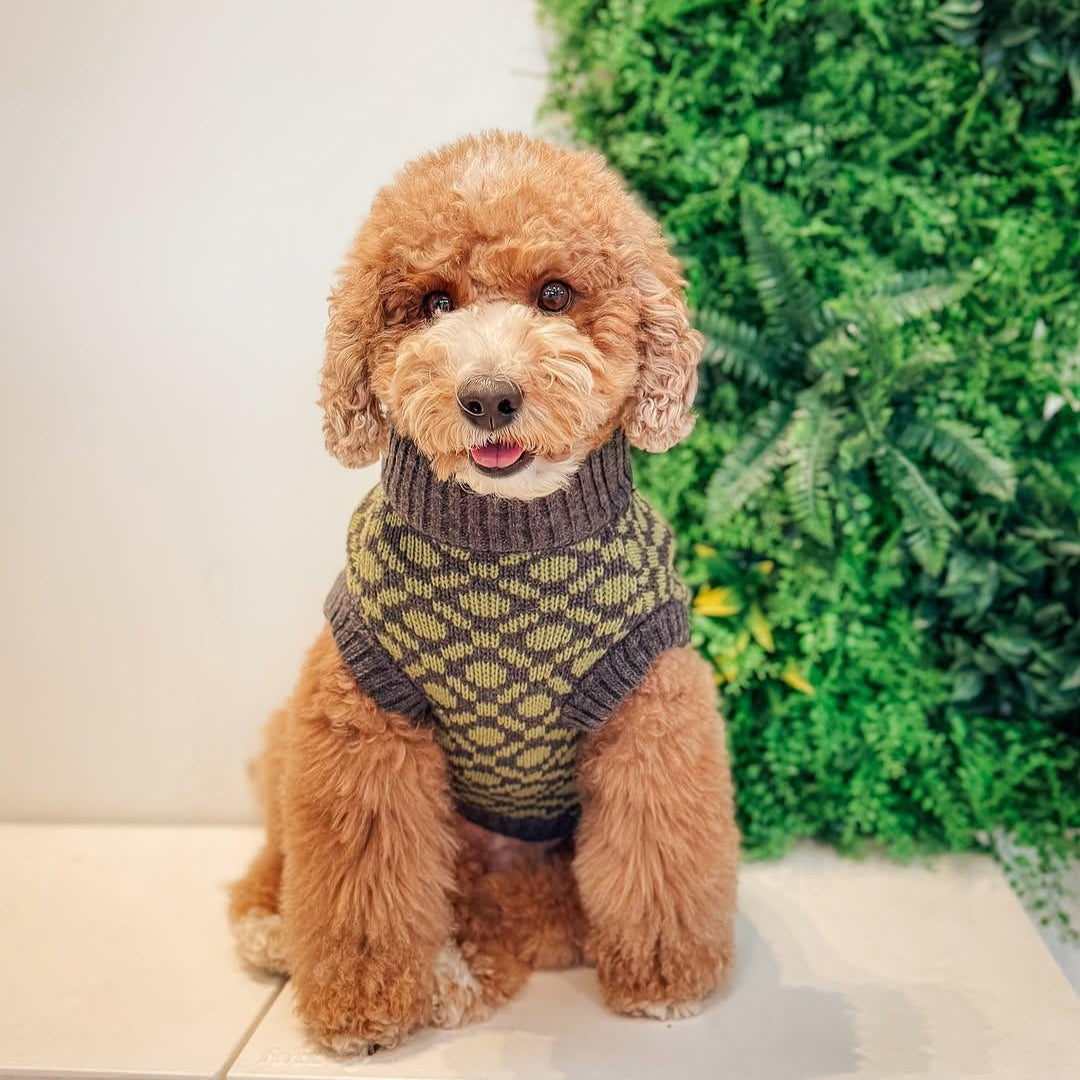 Olive Green Geometric Knit Dog Sweater - Ribbed Crewneck for Frenchies & Pugs - Hoshiba Matcha