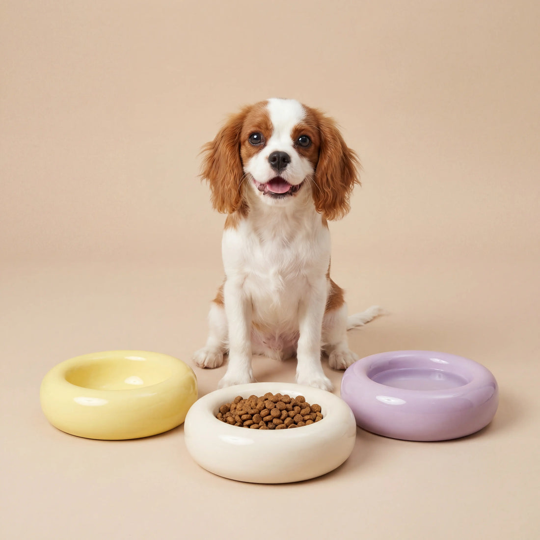 The Donut | Ceramic Food Bowl for Cats and Small Dogs