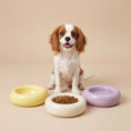 Load image into Gallery viewer, The Donut | Ceramic Food Bowl for Cats and Small Dogs
