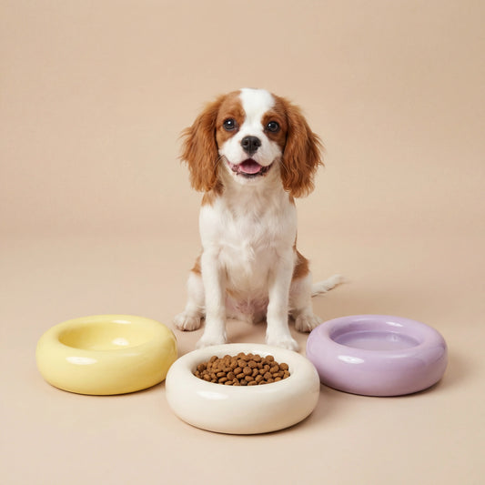 The Donut | Ceramic Food Bowl for Cats and Small Dogs