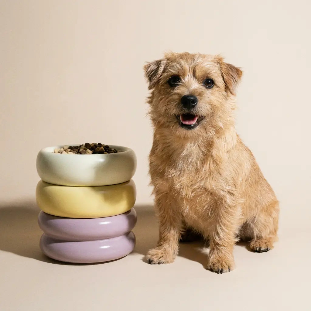 The Donut | Ceramic Food Bowl for Cats and Small Dogs