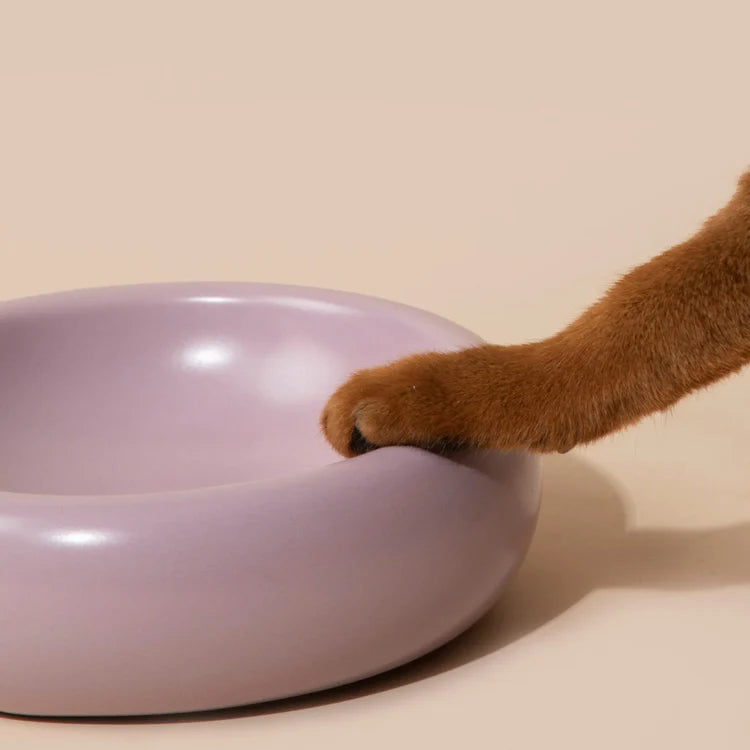 The Donut | Ceramic Food Bowl for Cats and Small Dogs