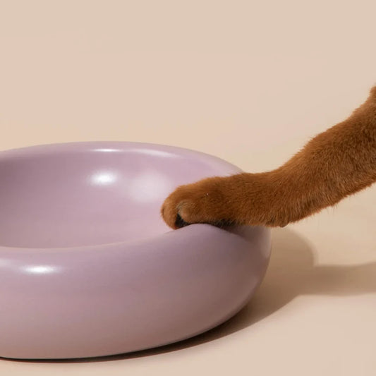 The Donut | Ceramic Food Bowl for Cats and Small Dogs