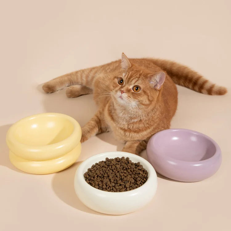 The Donut | Ceramic Food Bowl for Cats and Small Dogs