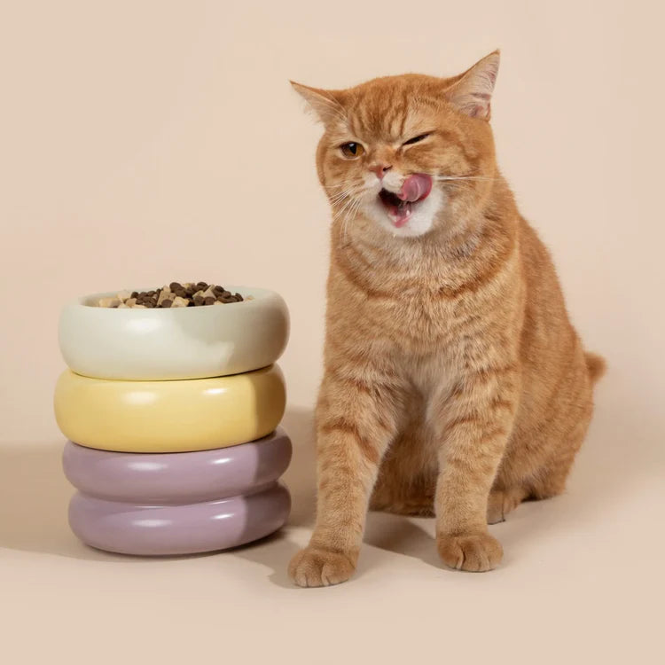 The Donut | Ceramic Food Bowl for Cats and Small Dogs