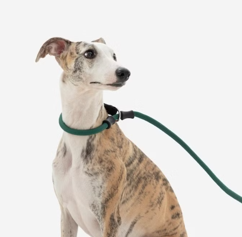 Minimalist Climbing Rope Dog Leash