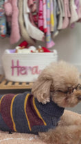 Load and play video in Gallery viewer, The Chai | Gray & Mustard Striped Turtleneck Dog Sweater
